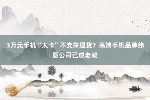 3万元手机“太卡”不支撑退货？高端手机品牌纬图公司已成老赖